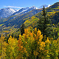 McClure Pass Fall Colors