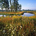 Creek Bend