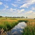 Beautiful Wetlands in Glacial Park